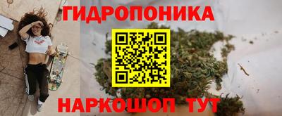 сатива Шелехов