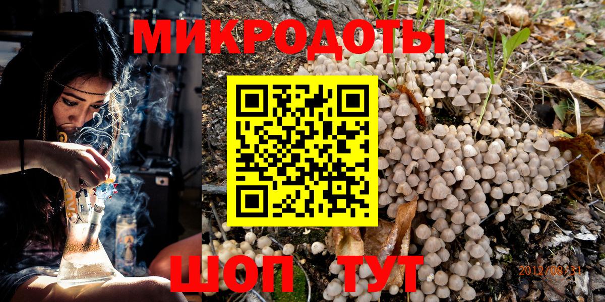 Псилоцибиновые грибы Cubensis Первоуральск